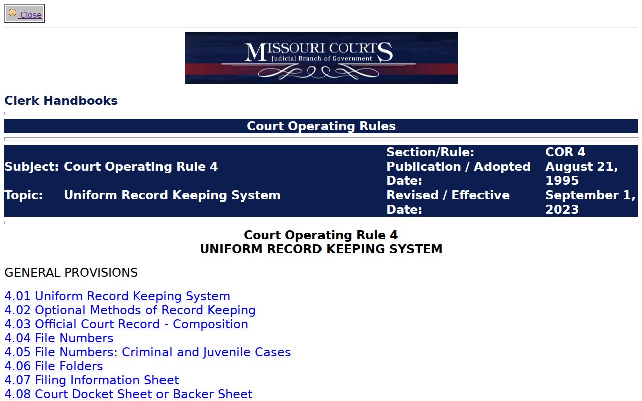 Mercer County criminal docket fields under Missouri court-record rules
